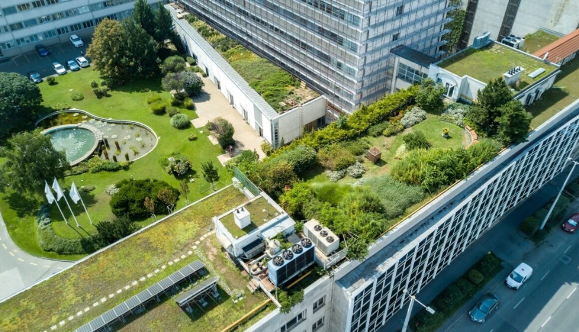 EkoMiasto. Nowy kierunek studiów w Łodzi