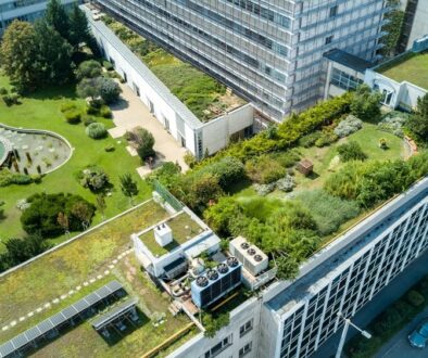 EkoMiasto. Nowy kierunek studiów w Łodzi